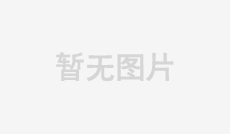 硅樹脂造粒機(jī)